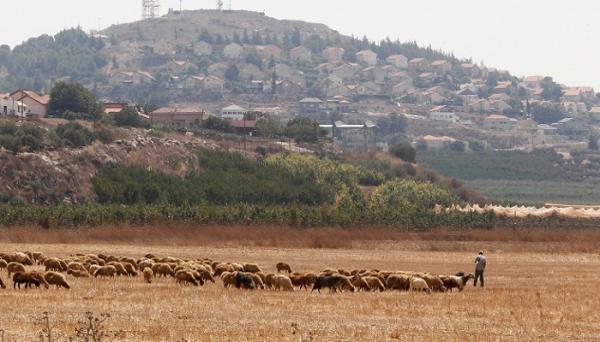 في الجنوب اللبناني..غنمة شاردة قد تؤدي إلى أزمة دبلوماسية ورعي الماشية أصبح من أخطر المهن العسكرية