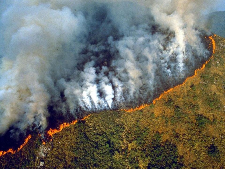 بالصور/ رئة العالم تحترق...النيران المتواصلة منذ 16 يوماً تلتهم غابات الأمازون البرازيلية التي سجلت رقماً قياسياً بالإشتعال!