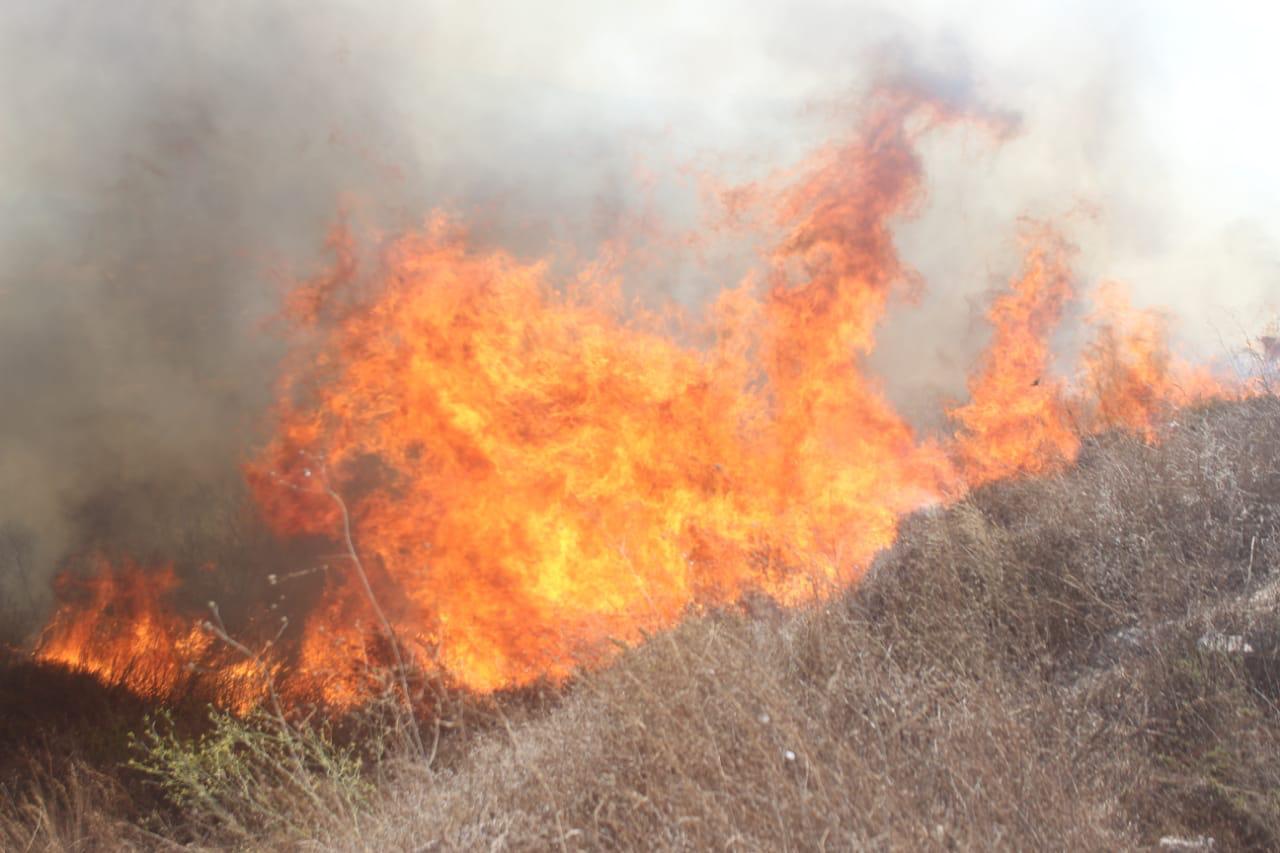 بلدية بنت جبيل تطلب من الأهل الكرام عدم إشعال الحرائق تحت طائلة المسؤولية