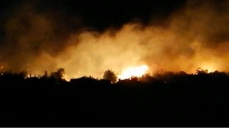 بالصور/ بعد جهود استمرت لساعات...السيطرة على حريق شب في أحراج بلدة الظهيرة - صور وسط صعوبات نظراً لوجود حقل ألغام