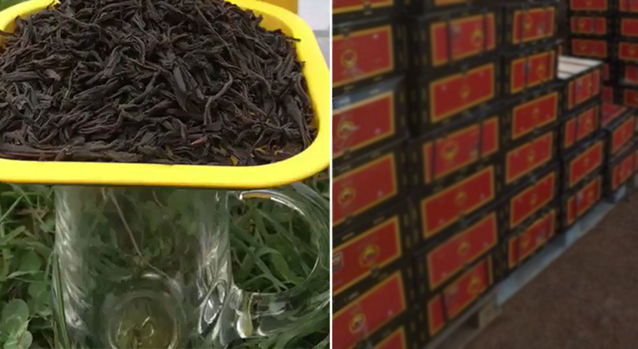بعد رحلة البحث عن السمك الموريتاني، لبنانيون يتساءلون أين الشاي السيلاني؟