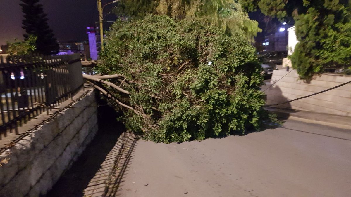 بالصورة/ سقوط شجرة على الطريق الممتدة من ساحة انطلياس باتجاه الفوار والطريق مقطوعة