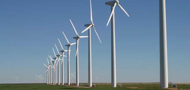 مجلس الوزراء يقر بند الكهرباء المتعلق بإنتاج الطاقة من الرياح