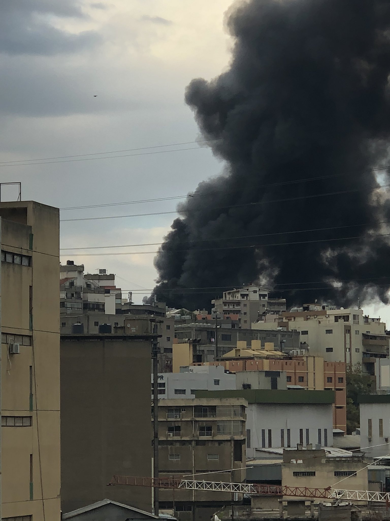 بالفيديو/ الحريق في ذوق مصبح التهم مشتلا زراعيا