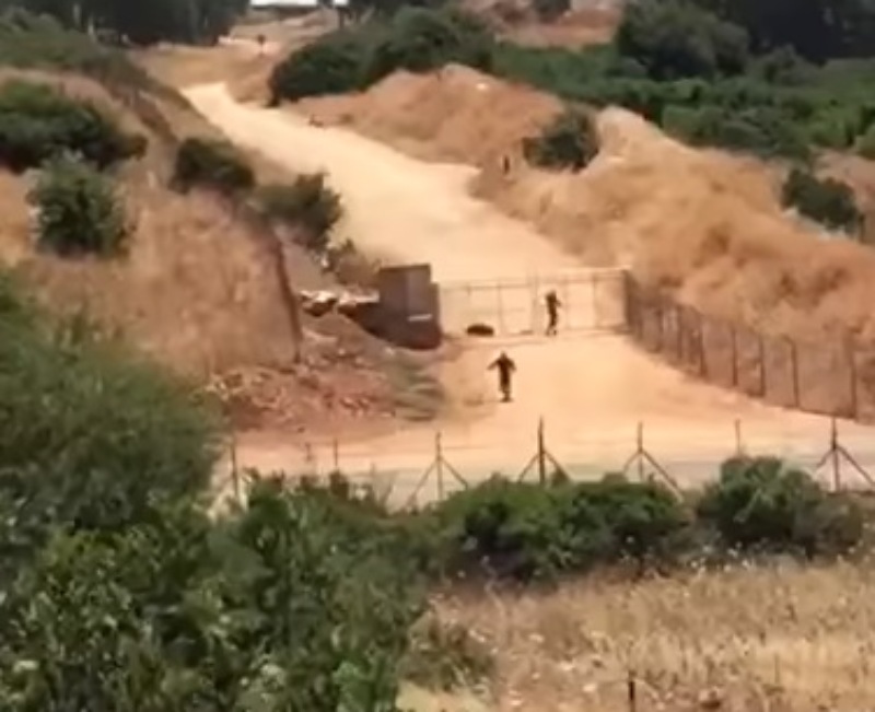 بالفيديو/ سرب من النحل يهاجم جنود العدو الإسرائيلي في مستعمرة &quot;افيفيم&quot; مقابل مارون الراس