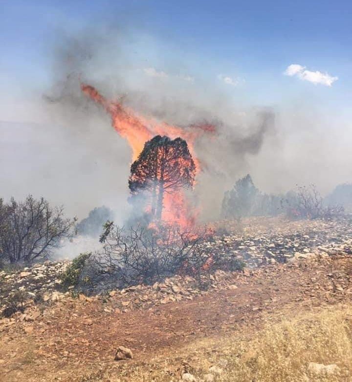 طوافات الجيش تنجح بمحاصرة الحريق الكبير في جرود الهرمل بعد جهود عناصر الجيش والدفاع المدني وأهالي المنطقة